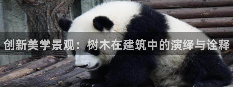 摩根娱乐宝官网下载
