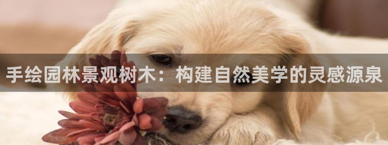 摩根娱乐视频大全