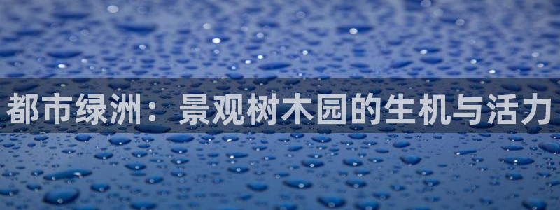 摩根娱乐