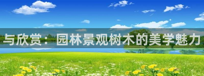 摩根娱乐50186找