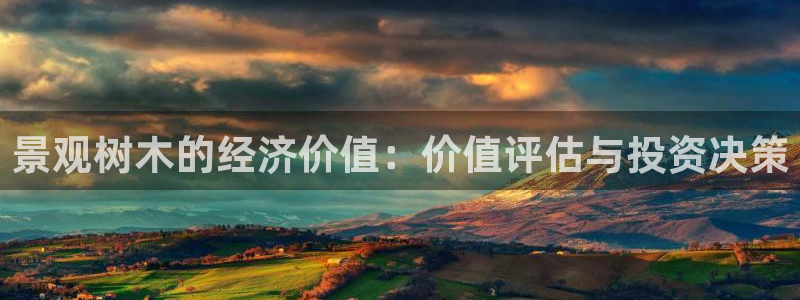 摩根娱乐黑别人网站：景观树木的经济价值：价值评估与投资决策