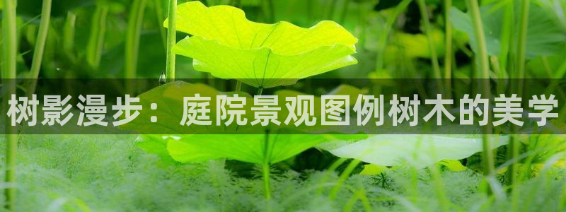 泉州摩根会娱乐场所