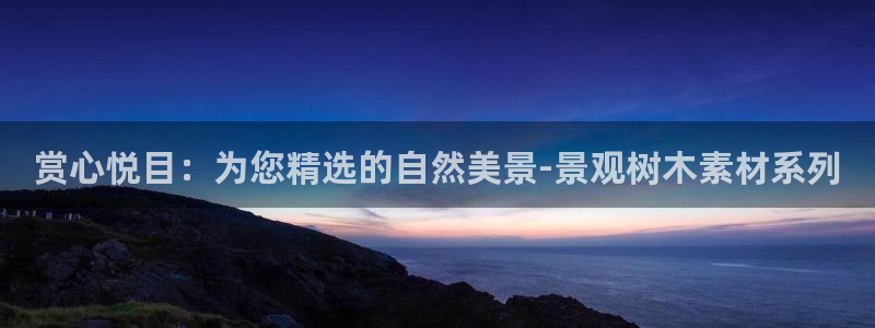 摩根娱乐总部在哪里