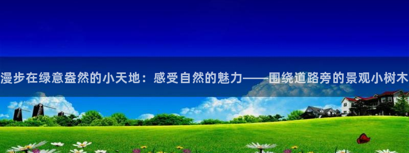 海贼王之娱乐摩根斯