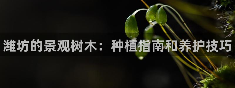 义乌市摩根娱乐会所招聘