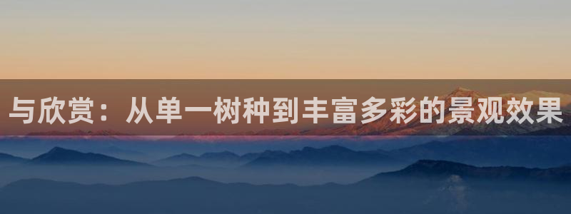 泉州摩根会娱乐会所地址