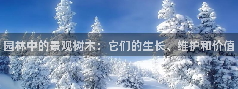 摩根娱乐宝骗了多少人