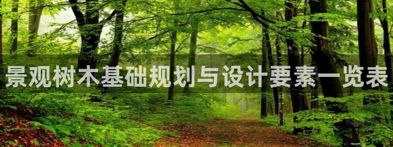 主角是摩根家族的娱乐文