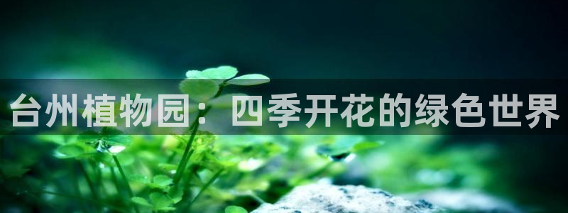 漳州摩根会娱乐