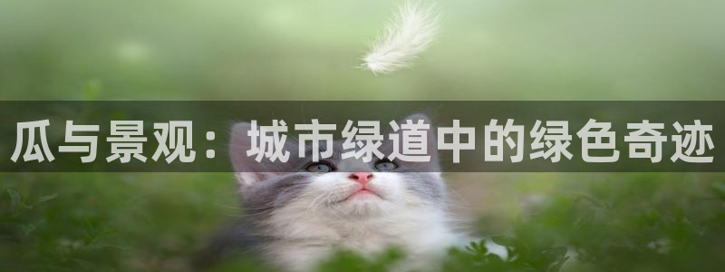 摩根娱乐平台云挂机安全吗