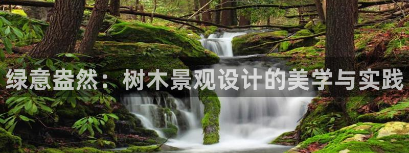 摩根国际娱乐宝官网