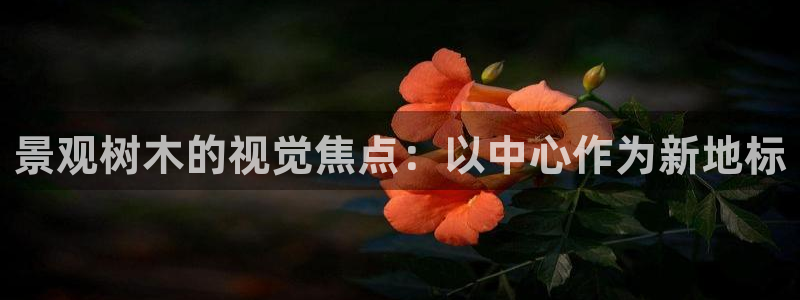 摩根娱乐 F招D商98732