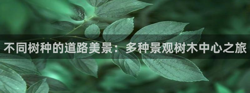 重生娱乐美日混血摩根