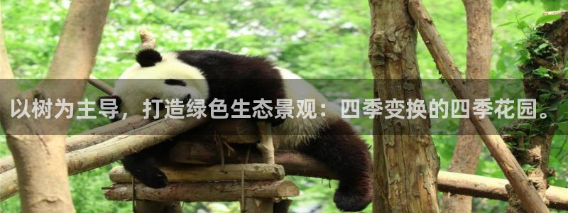 芜湖摩根一百有哪些娱乐