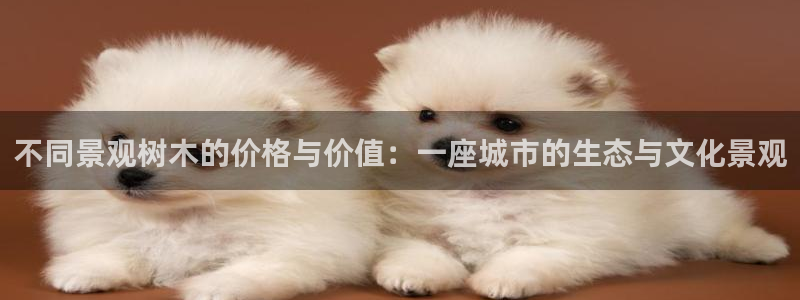 义务摩根娱乐会所