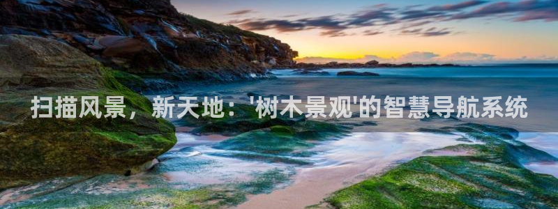 摩根娱乐挂机项目