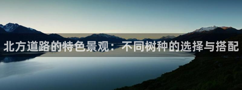 摩根娱乐老lb板50820