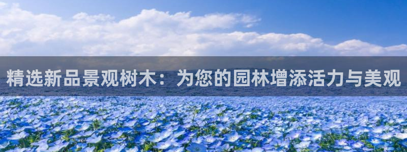 摩根娱乐50186叩杨