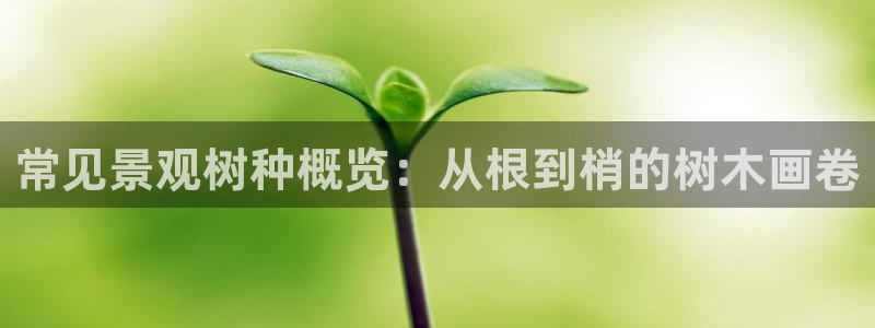 摩根娱乐_ c招a商77130