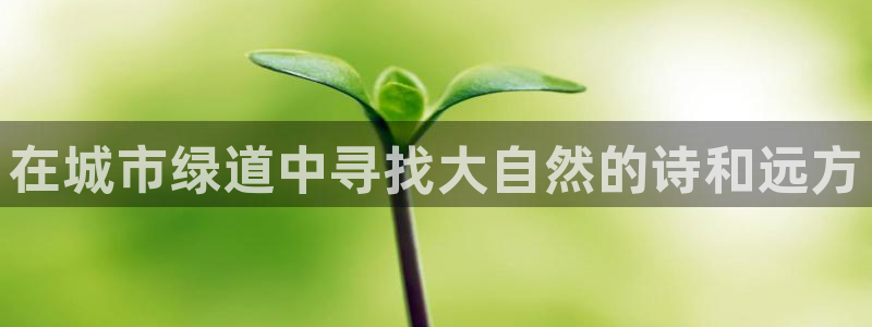 主角是摩根家族的娱乐文