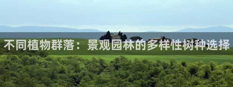 义乌摩根娱乐会所图片