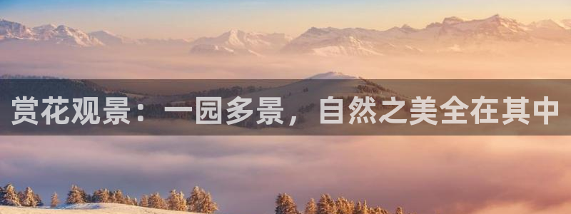 泉州摩根会娱乐张桂花