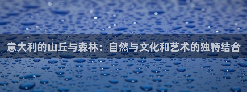 摩根娱乐50186加