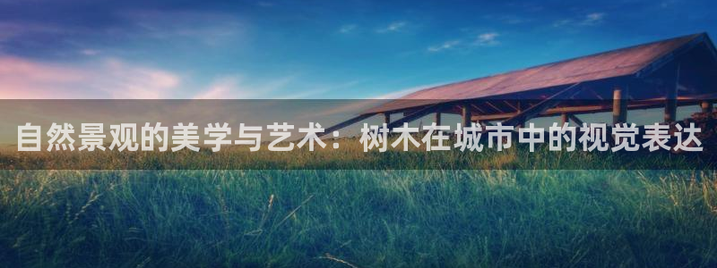 泉州白宫摩根娱乐会所