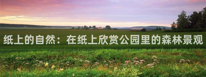 摩根娱乐宝 知道吗