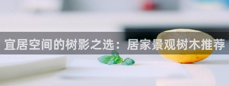 摩根娱乐是什么模式