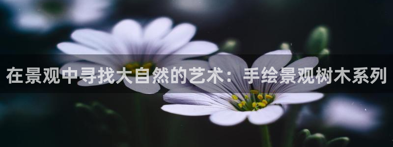 摩根士丹利娱乐