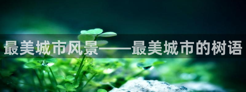 义乌摩根娱乐会所