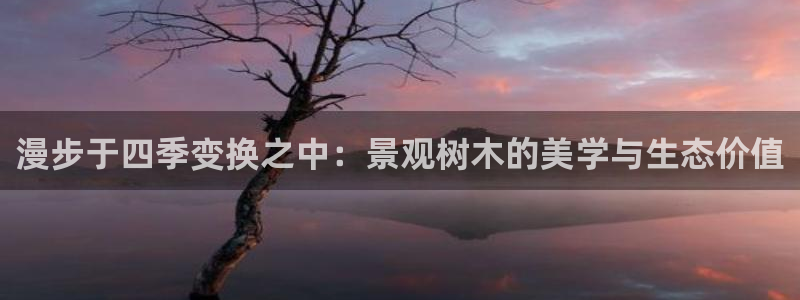 摩根娱乐 F招D商98732