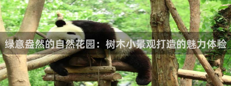 临平摩根娱乐会所