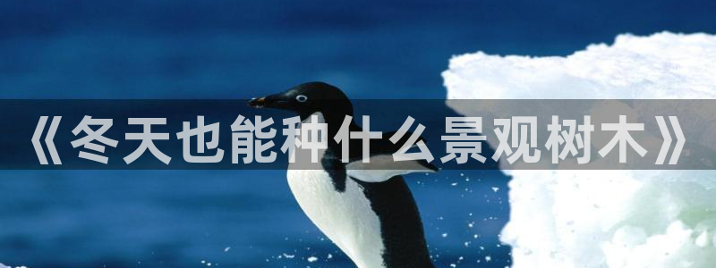 摩根娱乐宝下载