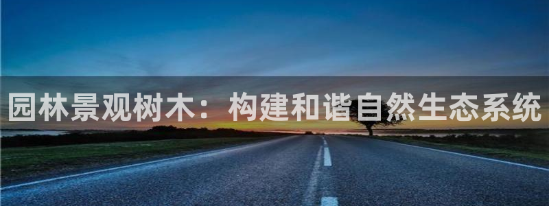 义乌市摩根娱乐会所