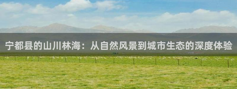 重生娱乐美日混血摩根