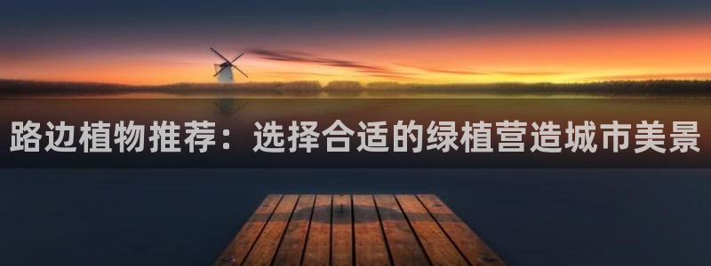 摩根娱乐宝怎么赚钱