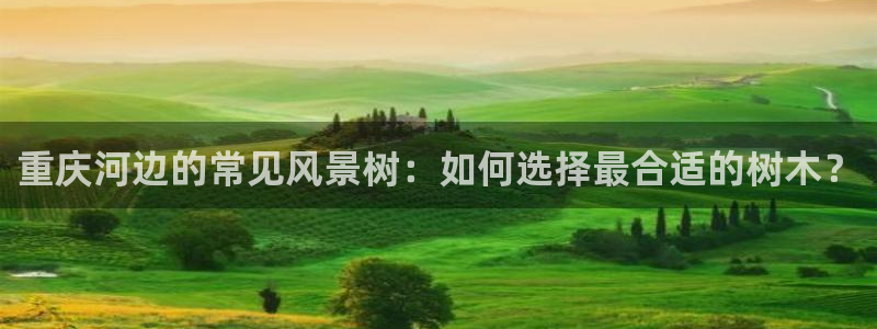 泉州摩根娱乐会所地址