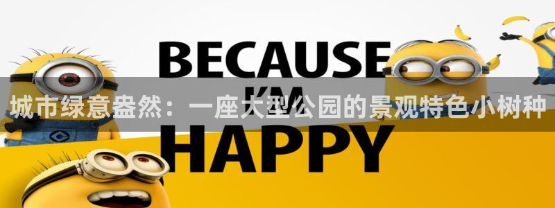 摩根娱乐50186叩杨