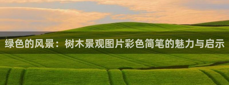 摩根娱乐平台云挂机安全吗