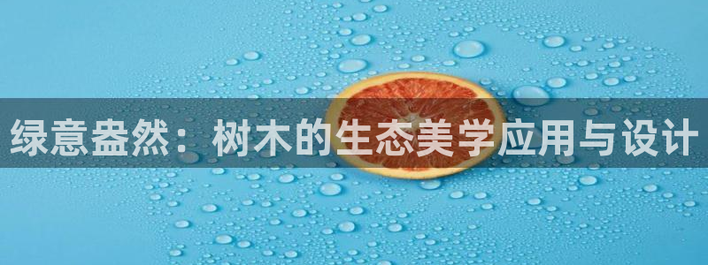 长春拉图摩根附近娱乐