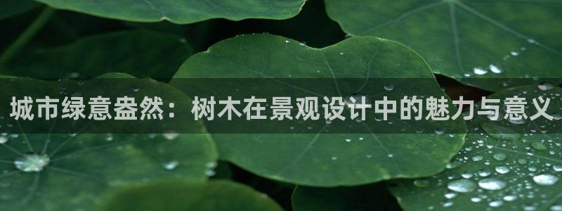 摩根娱乐宝秒单