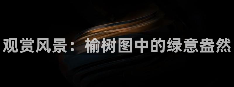 摩根娱乐宝官网