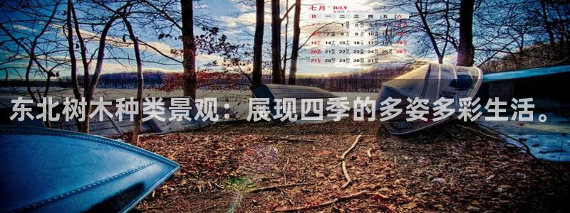 漳州摩根会娱乐