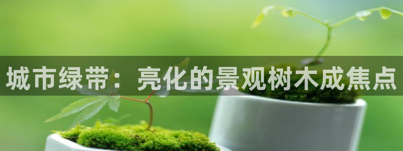 摩根大通会员买金沙娱乐