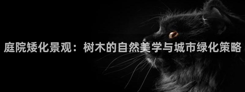 摩根娱乐宝如何提现