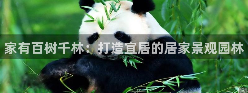 玩摩根娱乐宝亏了三千