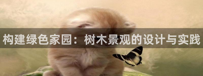 白宫摩根会娱乐会所