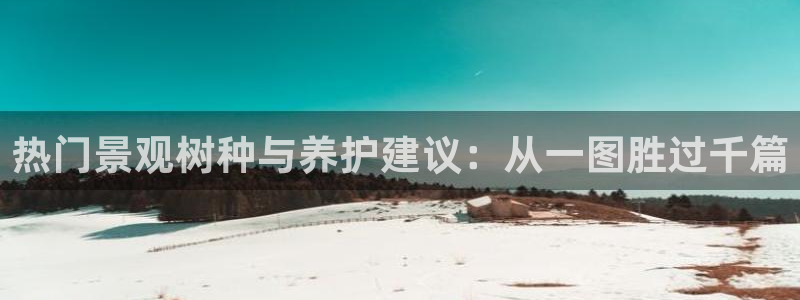摩根娱乐宝打不开
